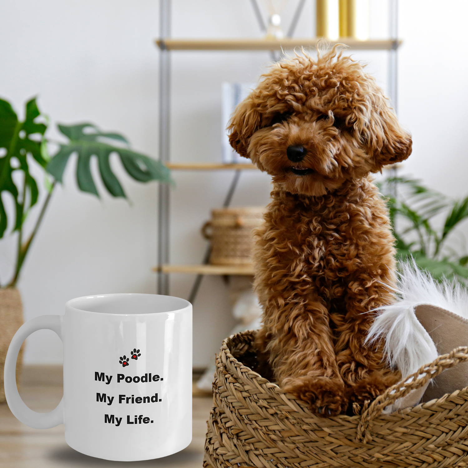 For Dog Lover, 50+ Breeds Avail, Dog Owner, Dog Walker, Dog Breeder, Animal Lover