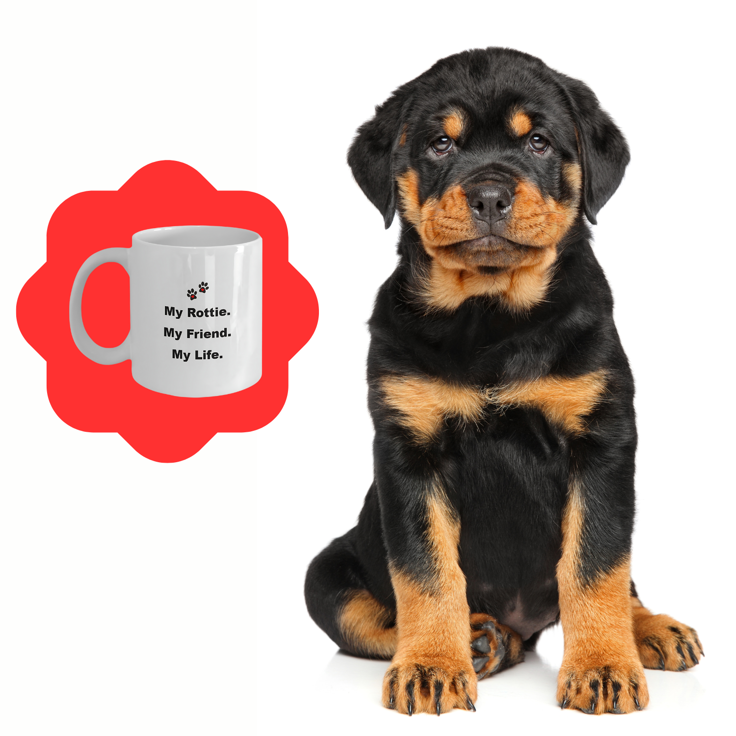 For Dog Lover, 50+ Breeds Avail, Dog Owner, Dog Walker, Dog Breeder, Animal Lover