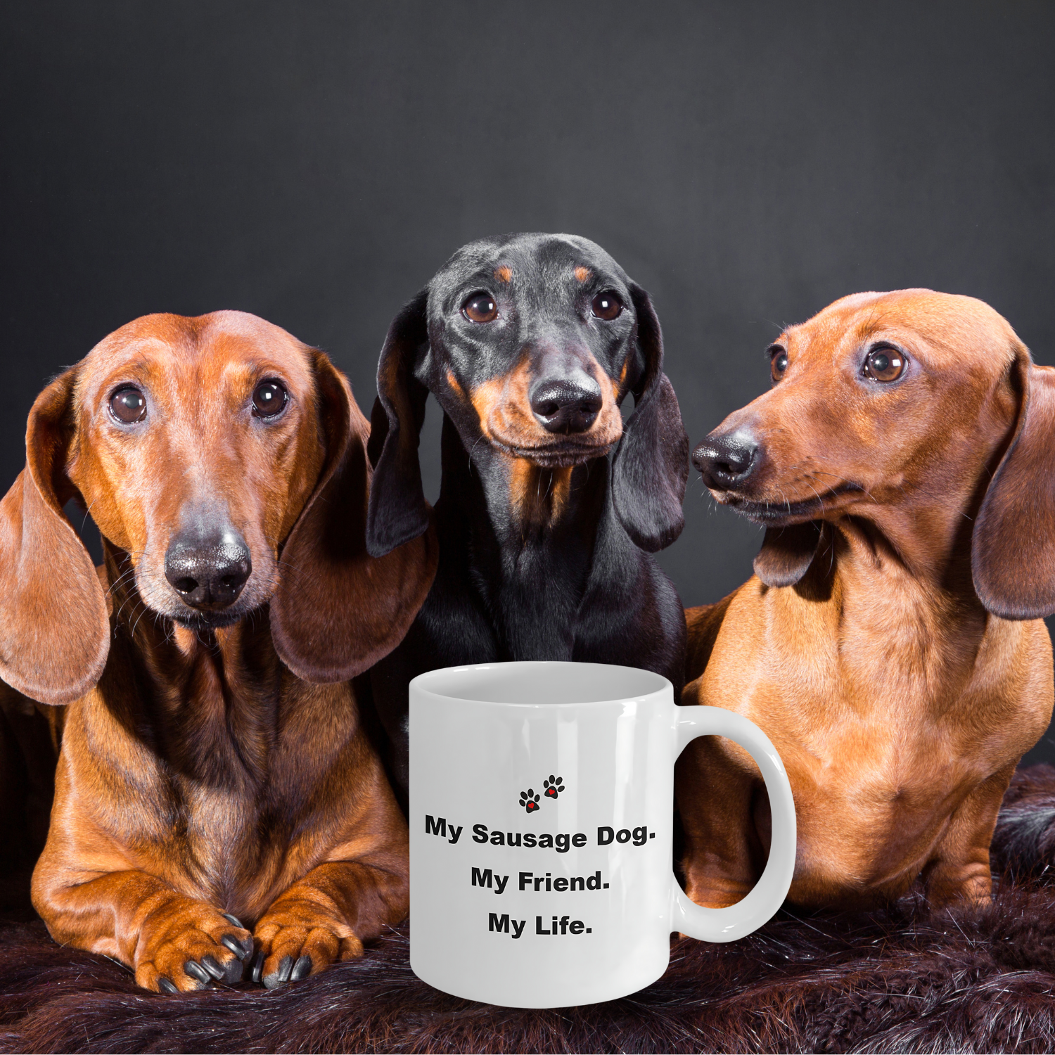 For Dog Lover, 50+ Breeds Avail, Dog Owner, Dog Walker, Dog Breeder, Animal Lover
