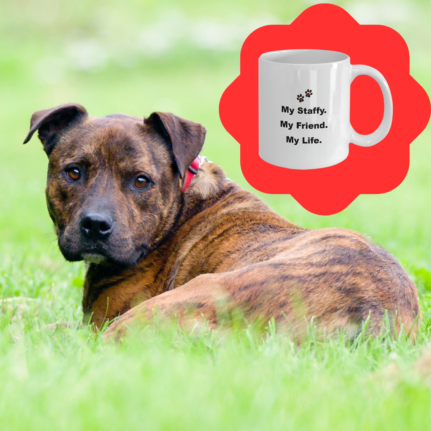 For Dog Lover, 50+ Breeds Avail, Dog Owner, Dog Walker, Dog Breeder, Animal Lover