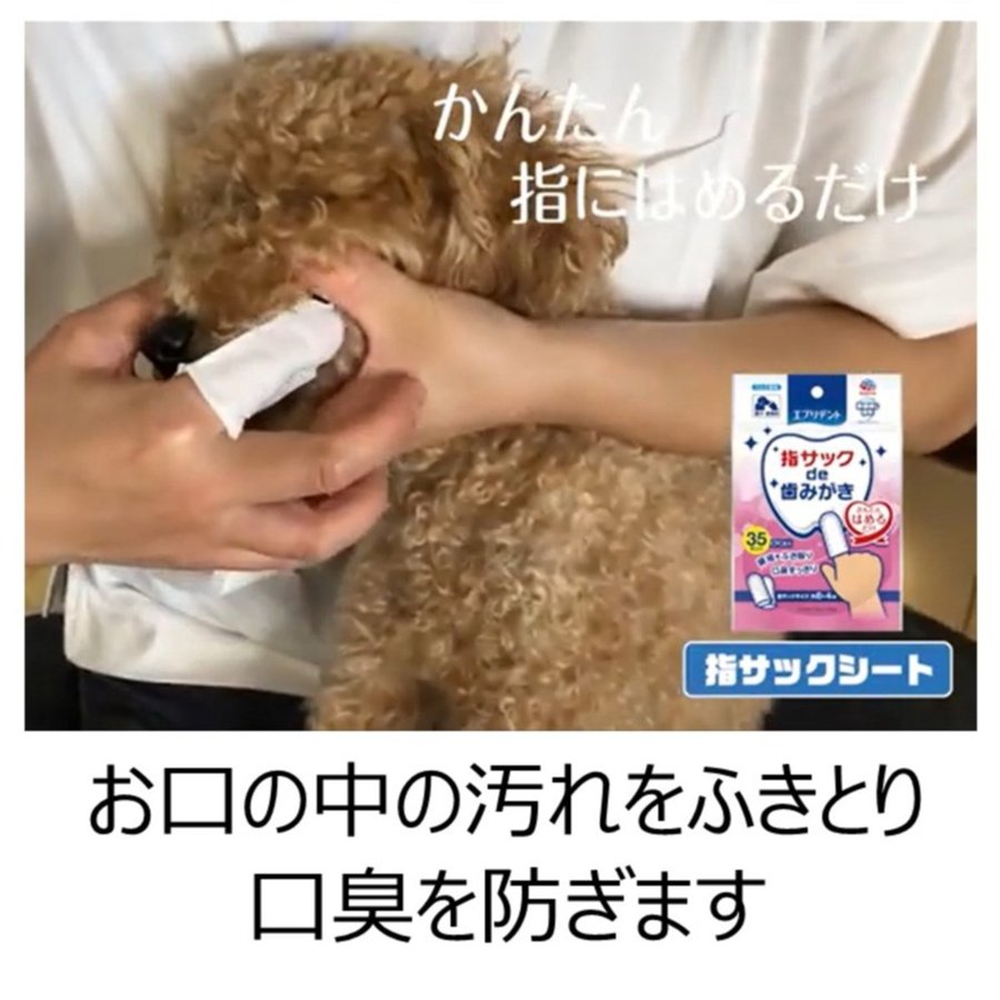 EARTH Pet Finger Pads Toothpaste Pads 35pcs (For Cats And Dogs) x48