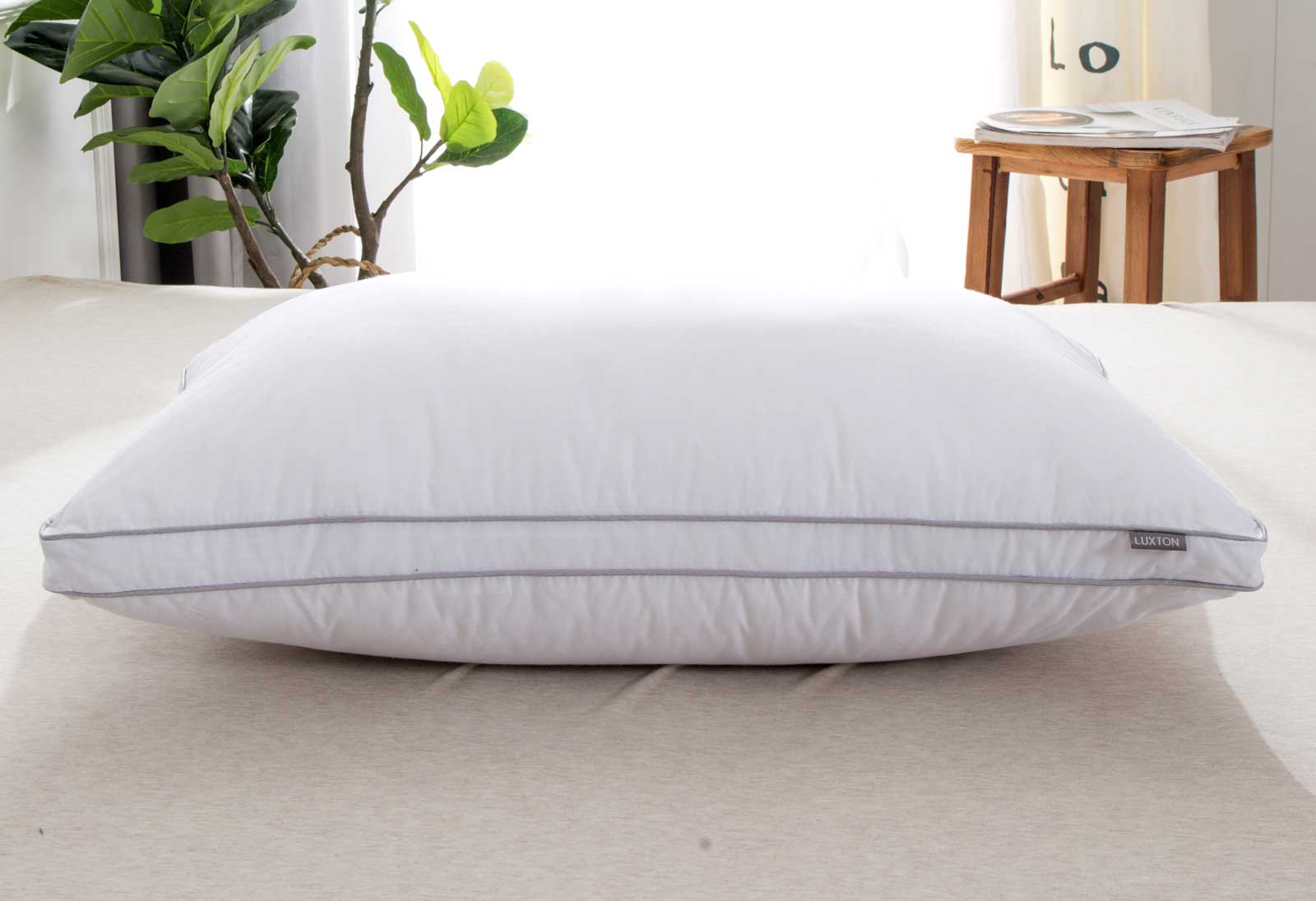 Luxton Medium / High Profile Pillow with Japara Cotton Casing