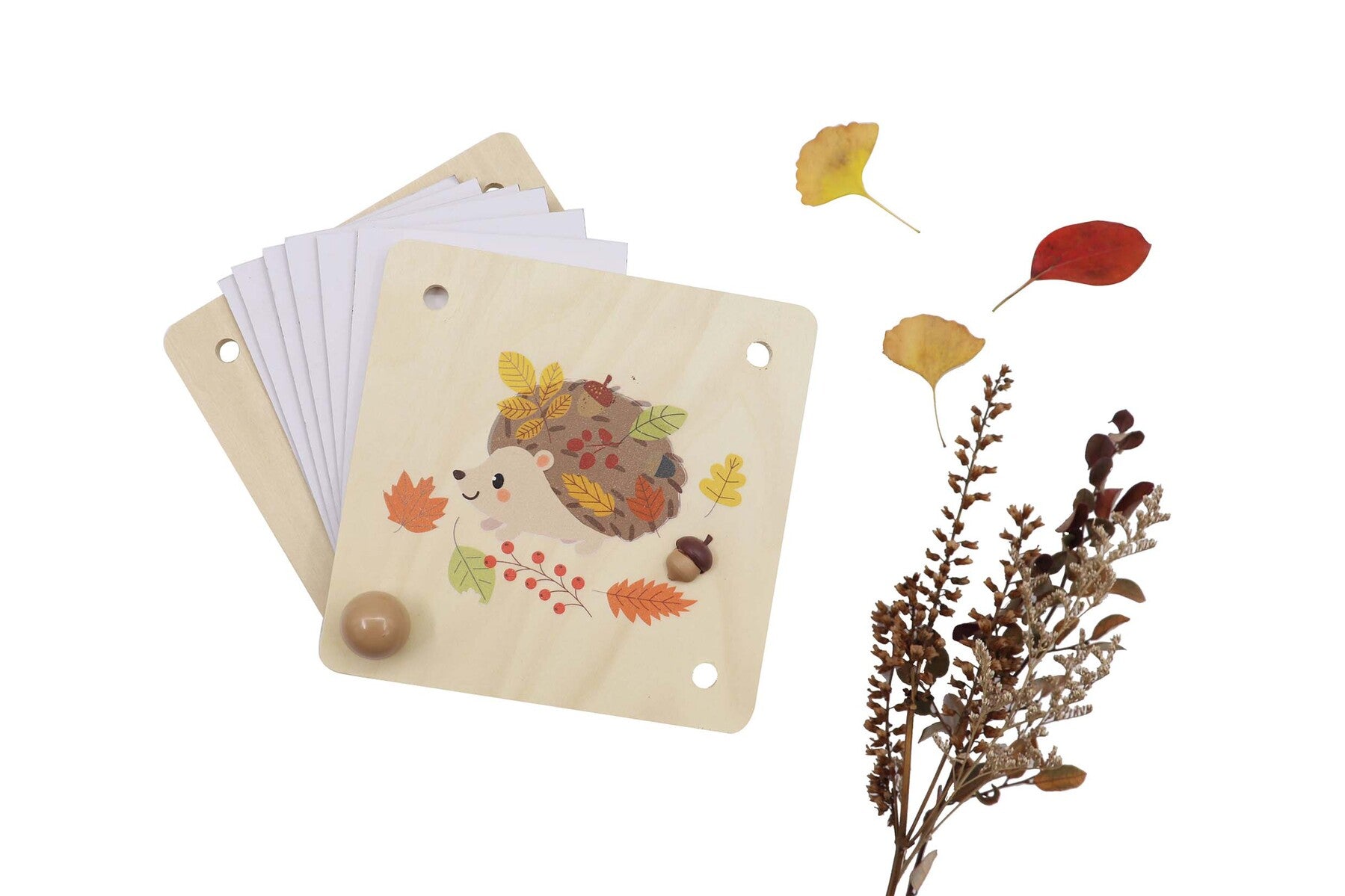 CALM & BREEZY FLOWER PRESS ECHIDNA CRAFT KIT